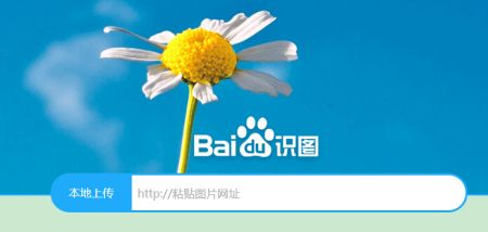 百度在线识图功能_百度识图在线使用_百度识图怎么在线使用