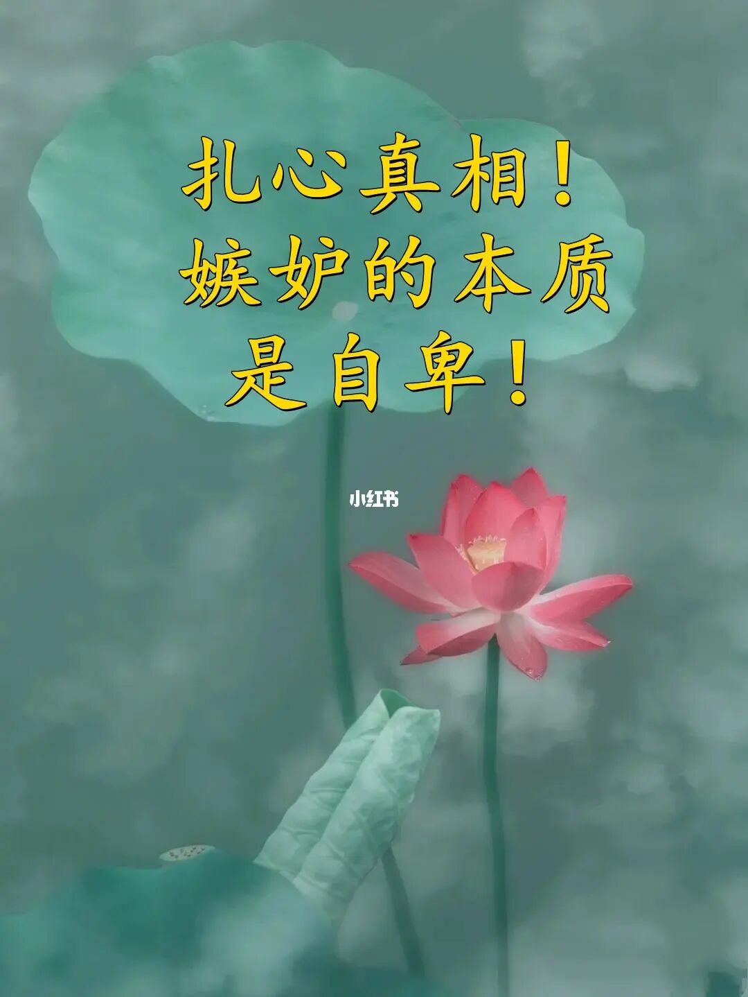 撕美女_撕美女_撕美女