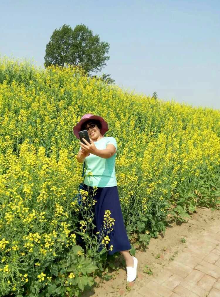 托卡大自然_自然科学基金大数据_自然传奇小虫子大麻烦
