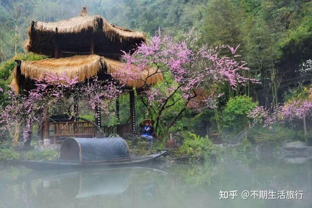 桃花源记游戏_挑花源记手游卡_源风记足贴官网