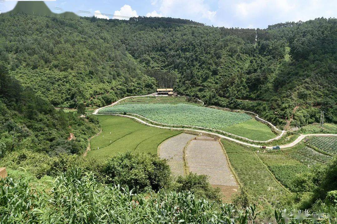 挑花源记手游卡_源风记足贴官网_桃花源记游戏