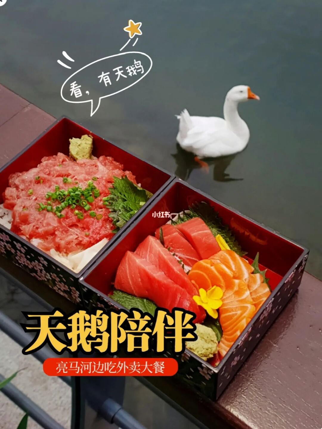 黑天鹅外卖_黑天鹅外卖_黑天鹅外卖