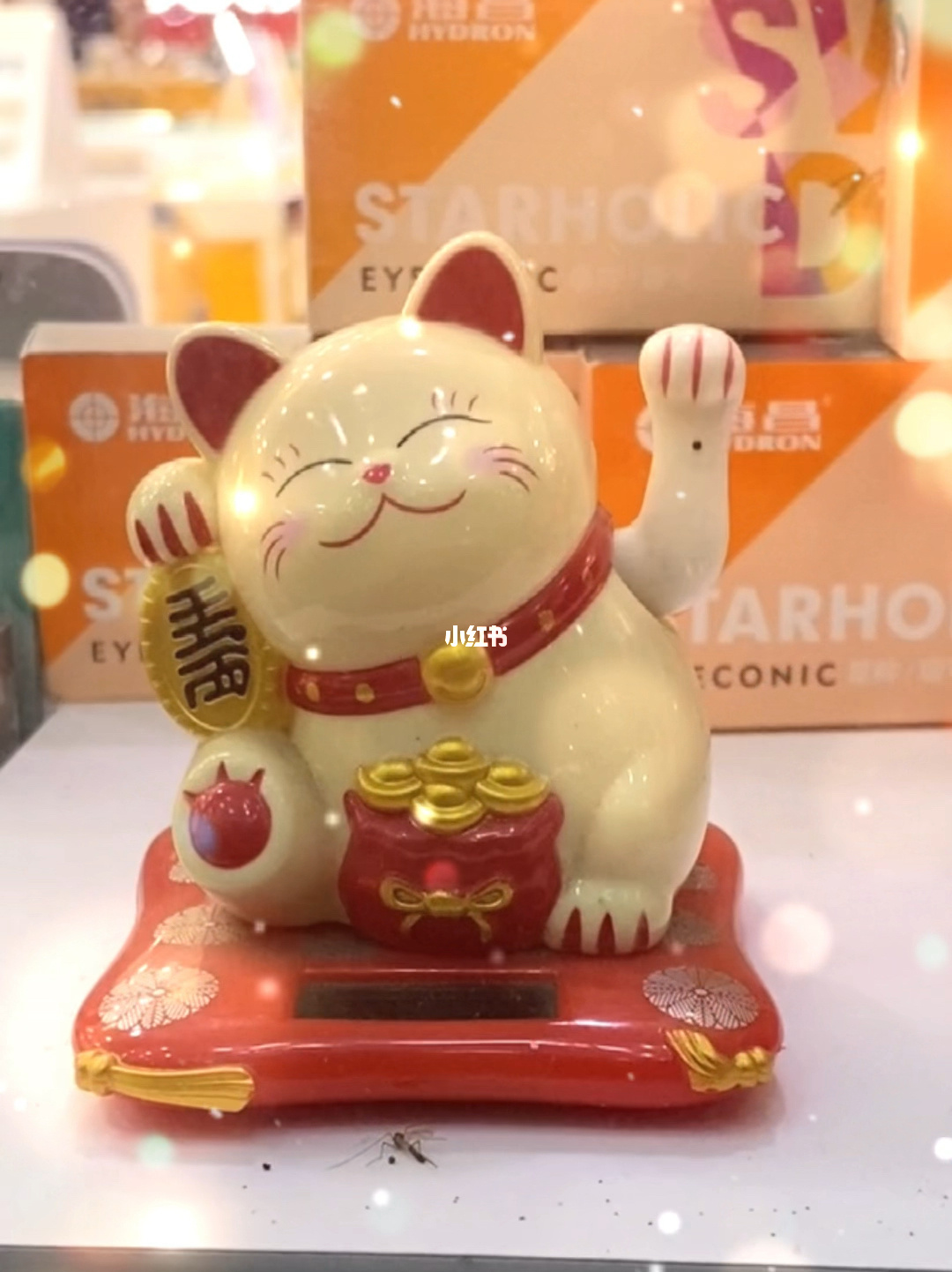 招猫喜欢的人意味着什么_招才猫_招猫的人有什么说法