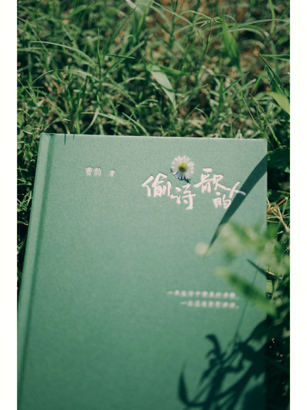 白茉晴_白茉晴_白茉晴