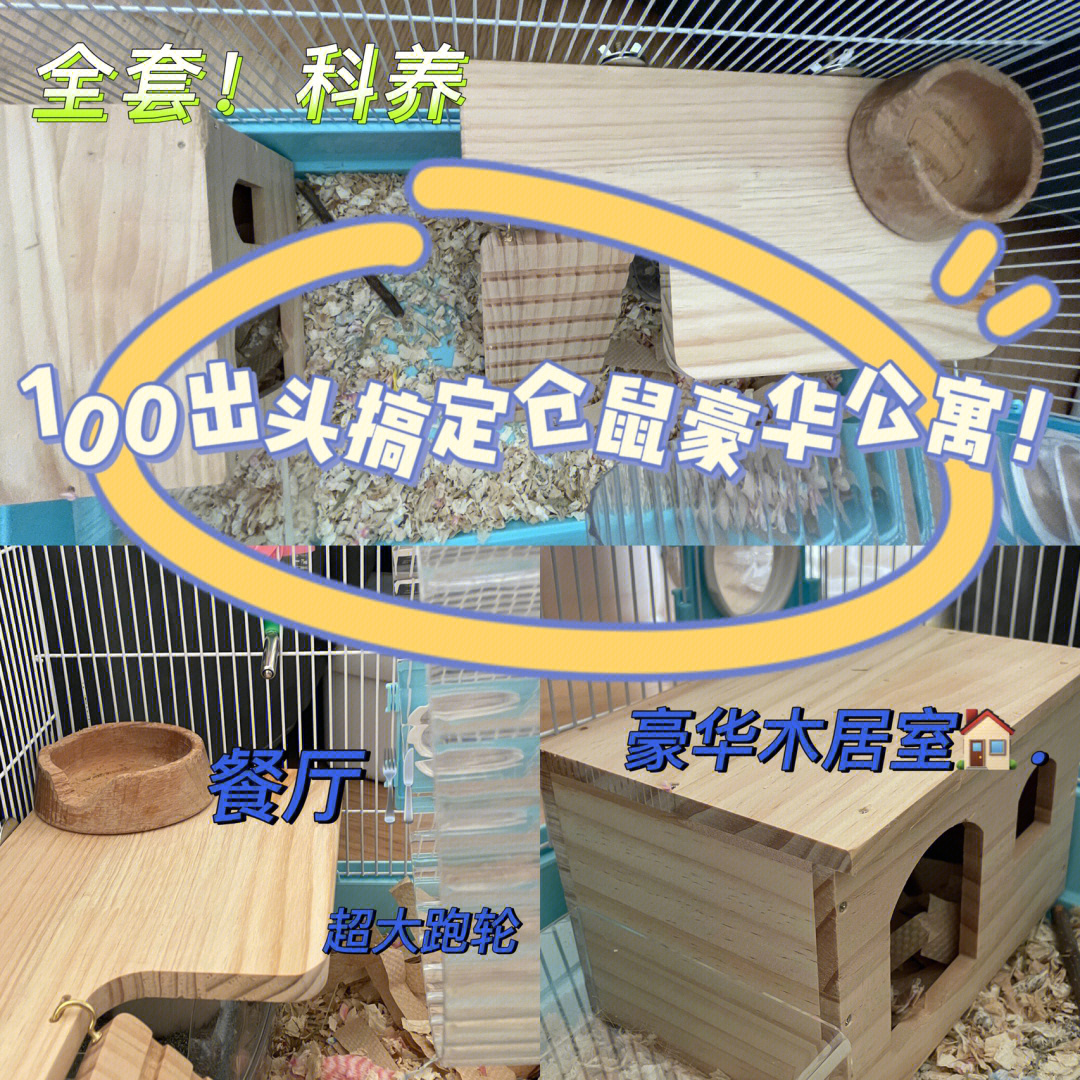 仓鼠公寓宠物_仓鼠公寓里的所有仓鼠图片_仓鼠公寓