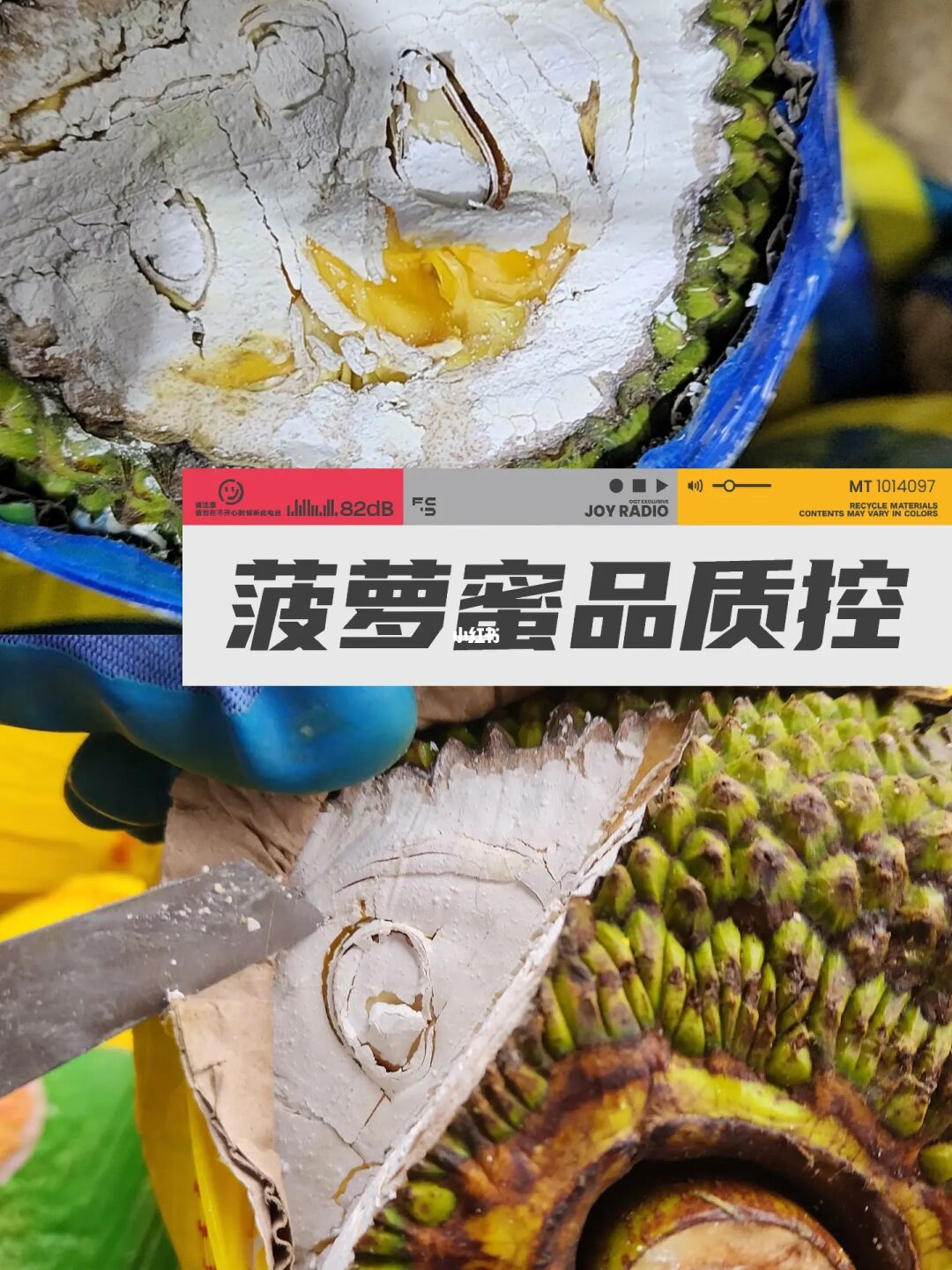 菠萝蜜视频在线免费观看_菠萝蜜视频在线免费观看_菠萝蜜视频在线免费观看