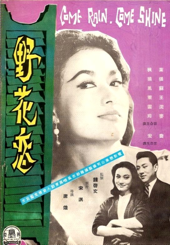 野花免费完整版在线观看下载_野花免费完整版在线观看下载_野花免费完整版在线观看下载