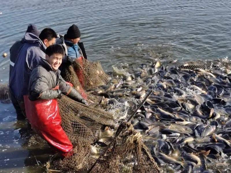 捕鱼大亨充值中心_捕鱼大亨符文_捕鱼大亨