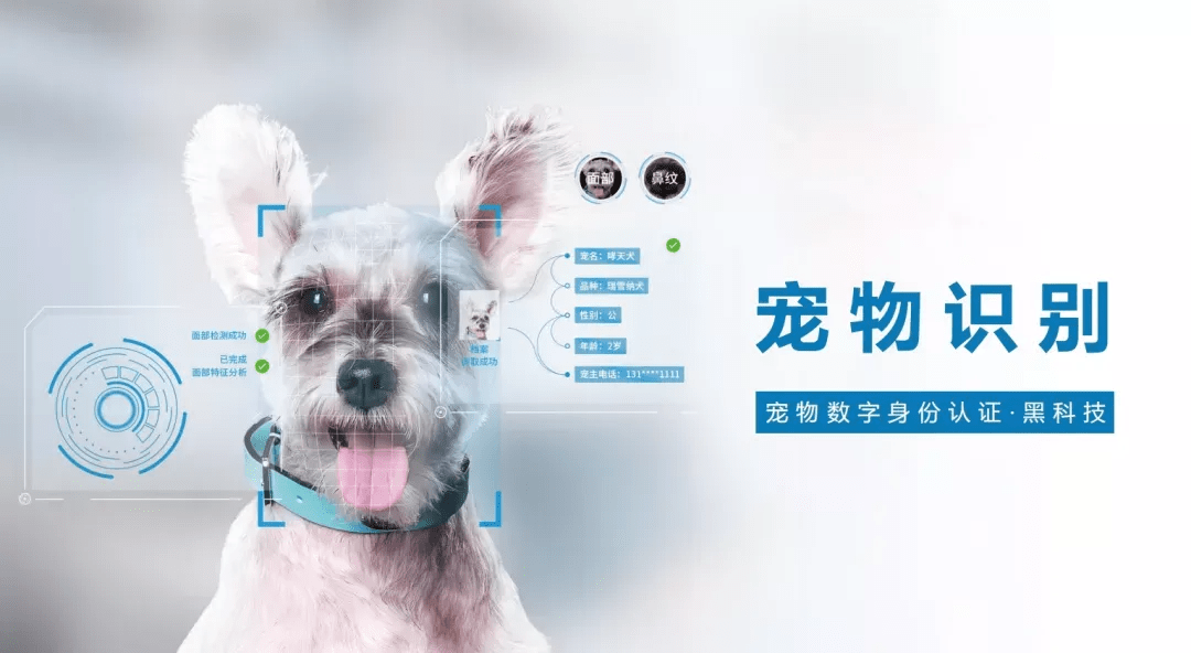 奥比岛宠物_奥比岛的宠物_奥比岛万众瞩目宠物