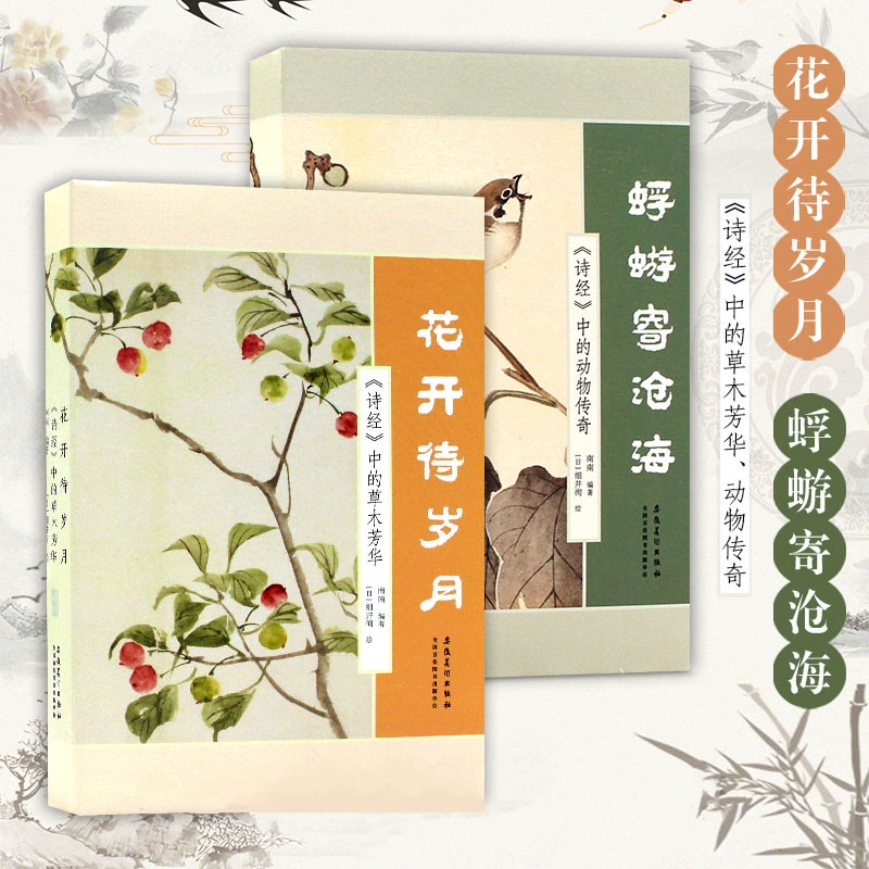 美人传_美人传破解版无限元宝无限名望_美人传游戏