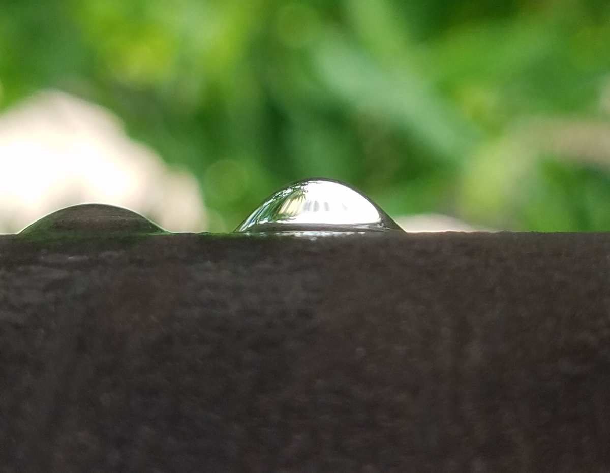 露组词_露滴_魔法咪露咪露