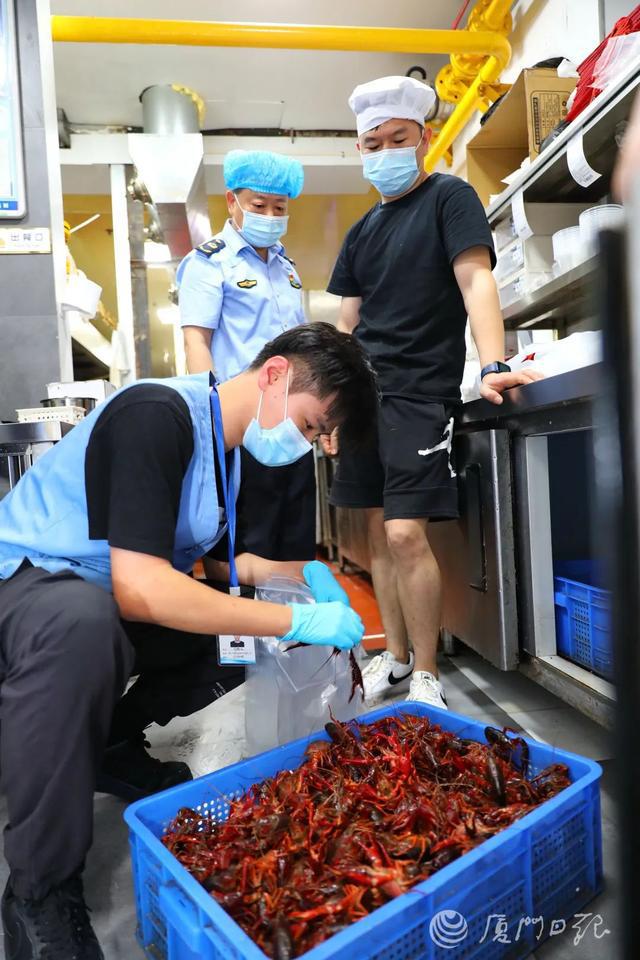 小龙虾游戏手机版_小龙虾游戏手机版_小龙虾游戏手机版