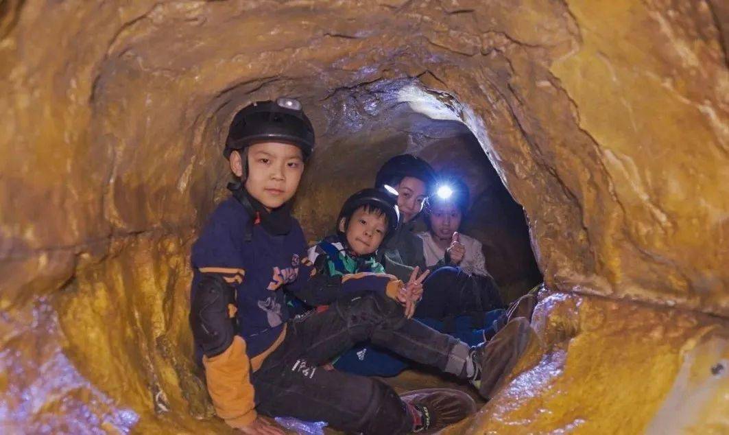天天生存手机游戏_生存手机游戏推荐_好玩的生存手机游戏