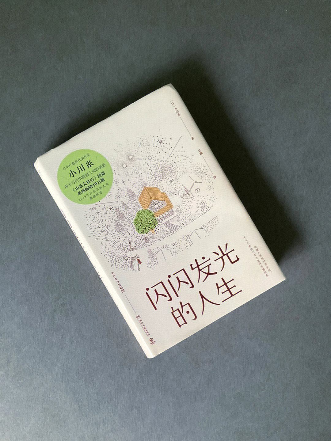 闪玩游戏app_玩游戏手机边上有东西闪_闪玩小游戏