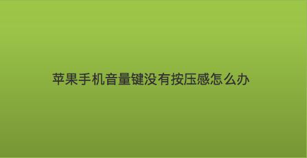 玩手机游戏没有声音怎么办_玩手机游戏没声音怎么回事_新手机玩游戏没有声音了