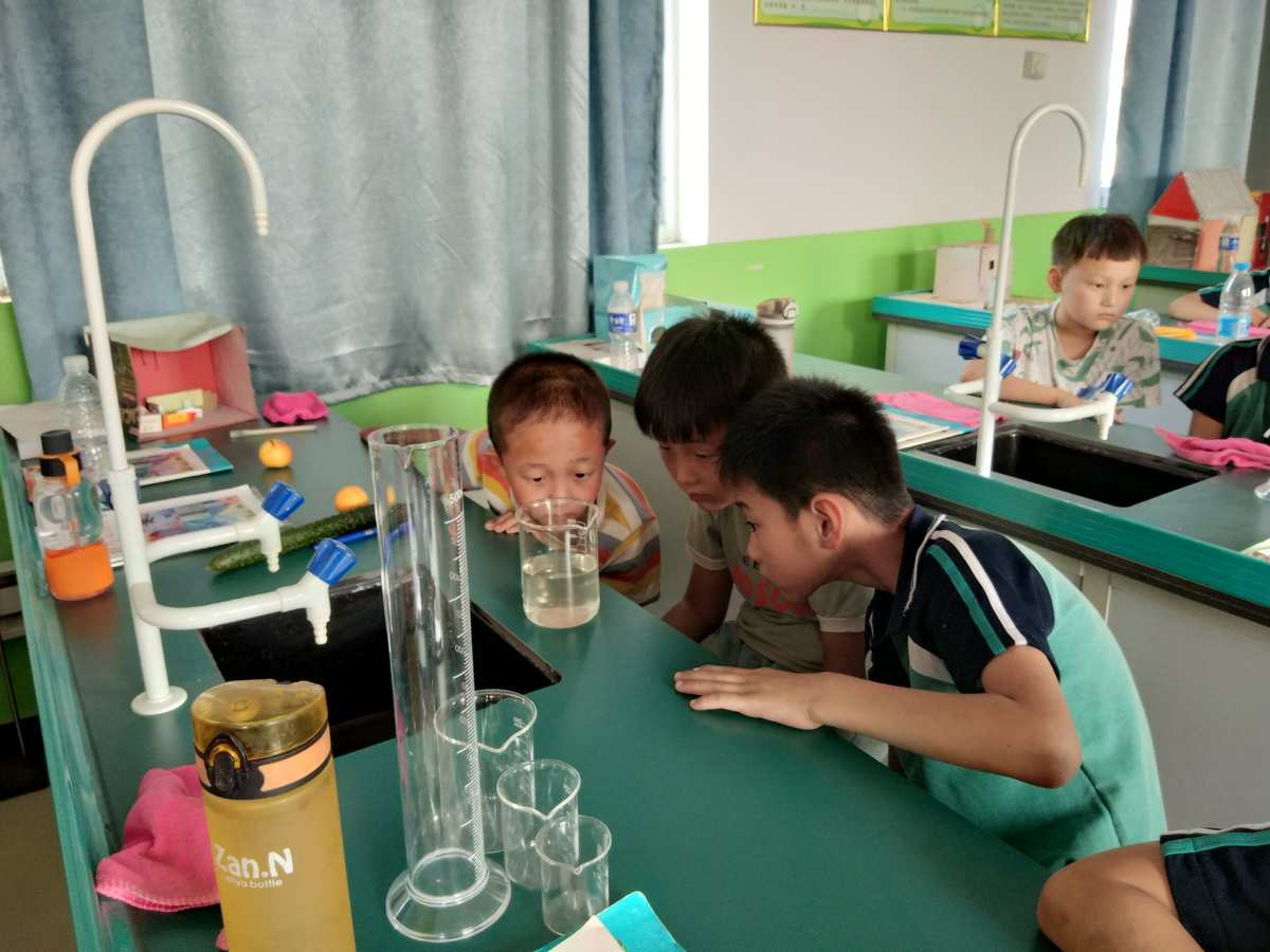 手机做青蛙实验的游戏_手机做青蛙实验的游戏_手机做青蛙实验的游戏