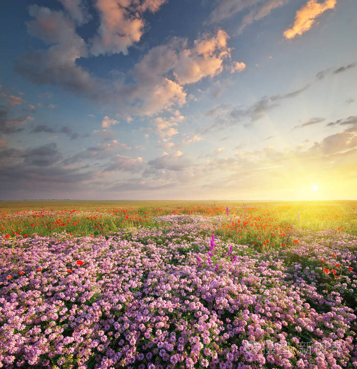 季春时节_季节がいく时_季春时节是什么意思