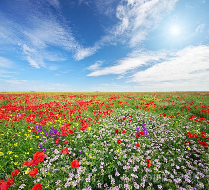 季春时节是什么意思_季春时节_季节がいく时