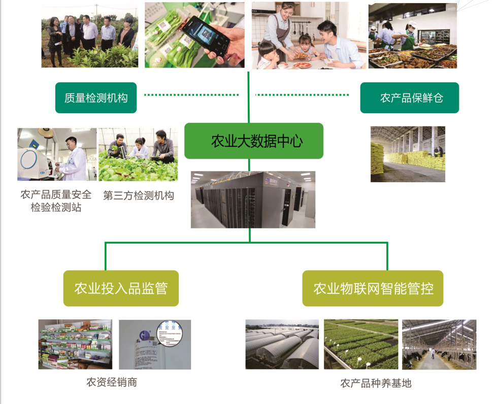 农场解谜攻略_农场攻略手机游戏大全_游戏手机农场攻略