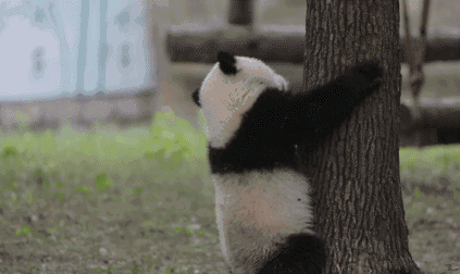 万物游戏怎么玩_手机怎么玩psp游戏_万物结伴手机游戏怎么玩