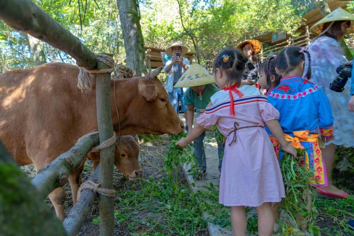 温馨农场正版_温馨农场赢手机游戏_温馨农场游戏红包大全