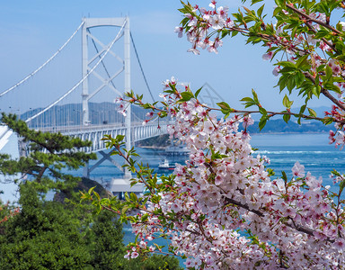 《长津湖之水门桥》免费观看_《长津湖之水门桥》免费观看_《长津湖之水门桥》免费观看