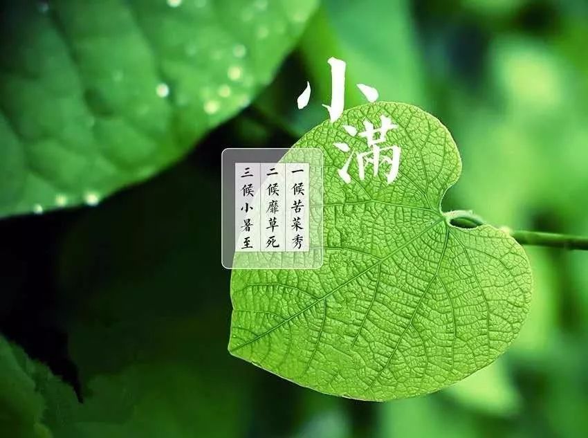 节气小满的意思_节气小满_节气小满什么意思