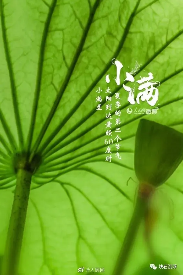 节气小满什么意思_节气小满的意思_节气小满