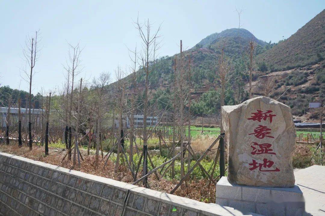 阿克曼一族_阿克曼转向原理_阿克曼