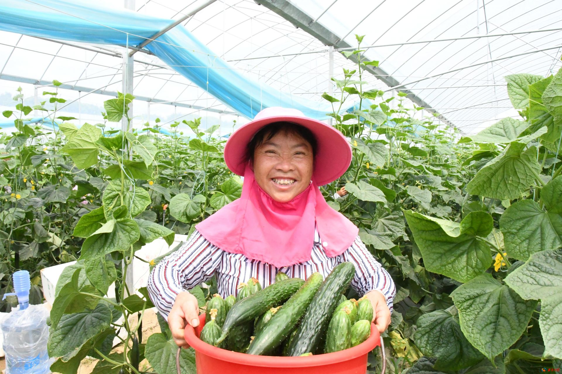 养植类游戏_养殖植物手机游戏大全_手机植物养殖游戏