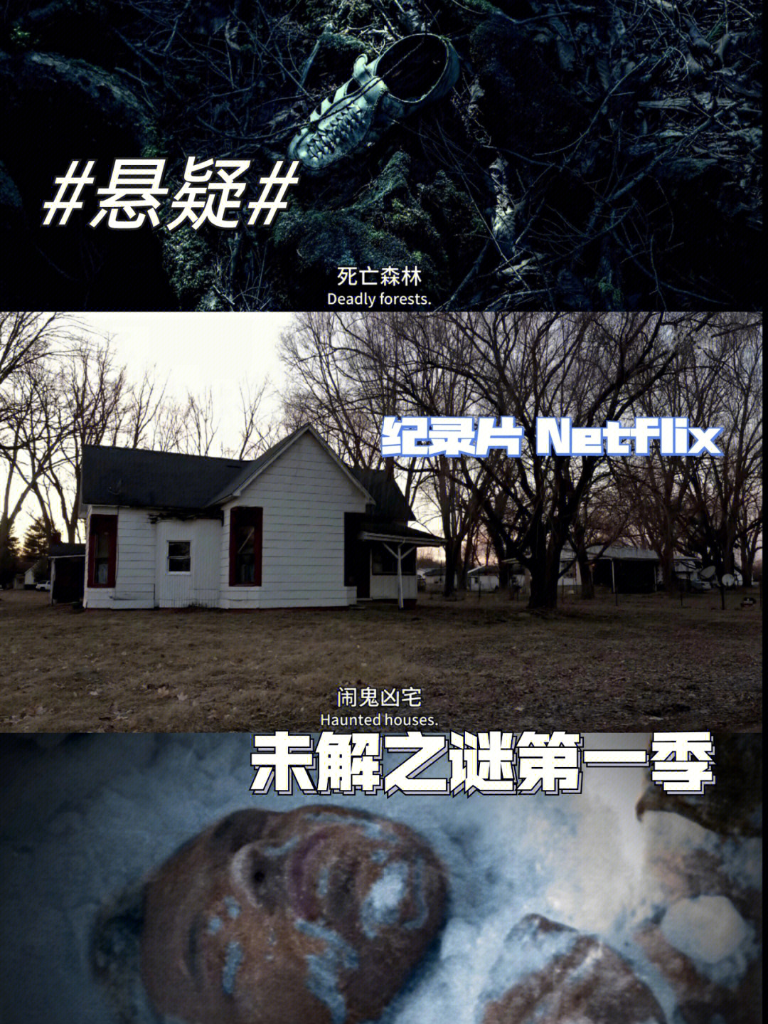 节日中的趣味故事_手机版炒股游戏_罪犯节日趣味游戏手机版