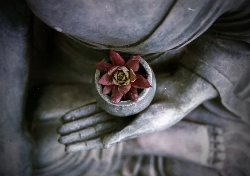 寺门通_寺门通_寺门通