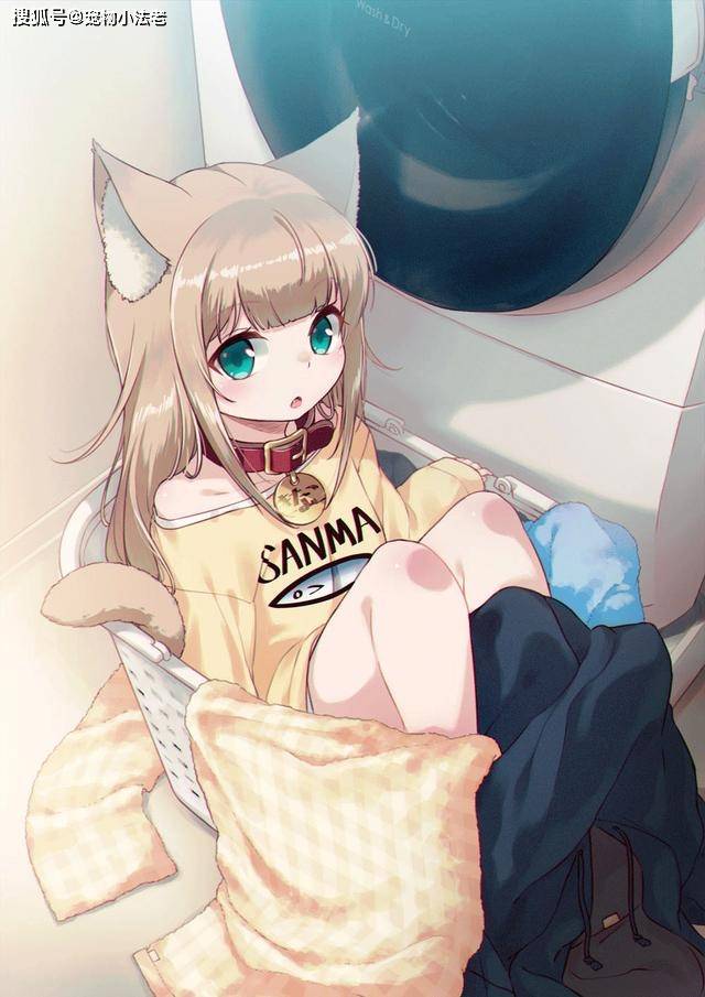 猫咪软件图标_猫咪软件怎么进主页_猫咪软件app