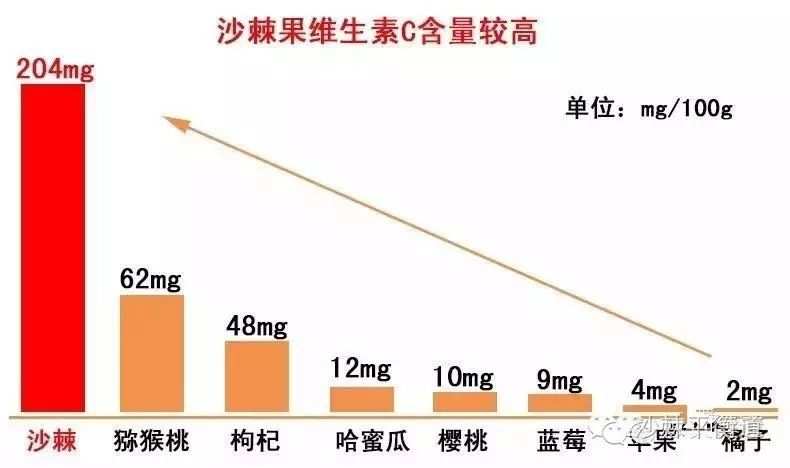 越橘叶黄素好还是蓝莓叶黄素好_越橘_越橘和蓝莓的区别