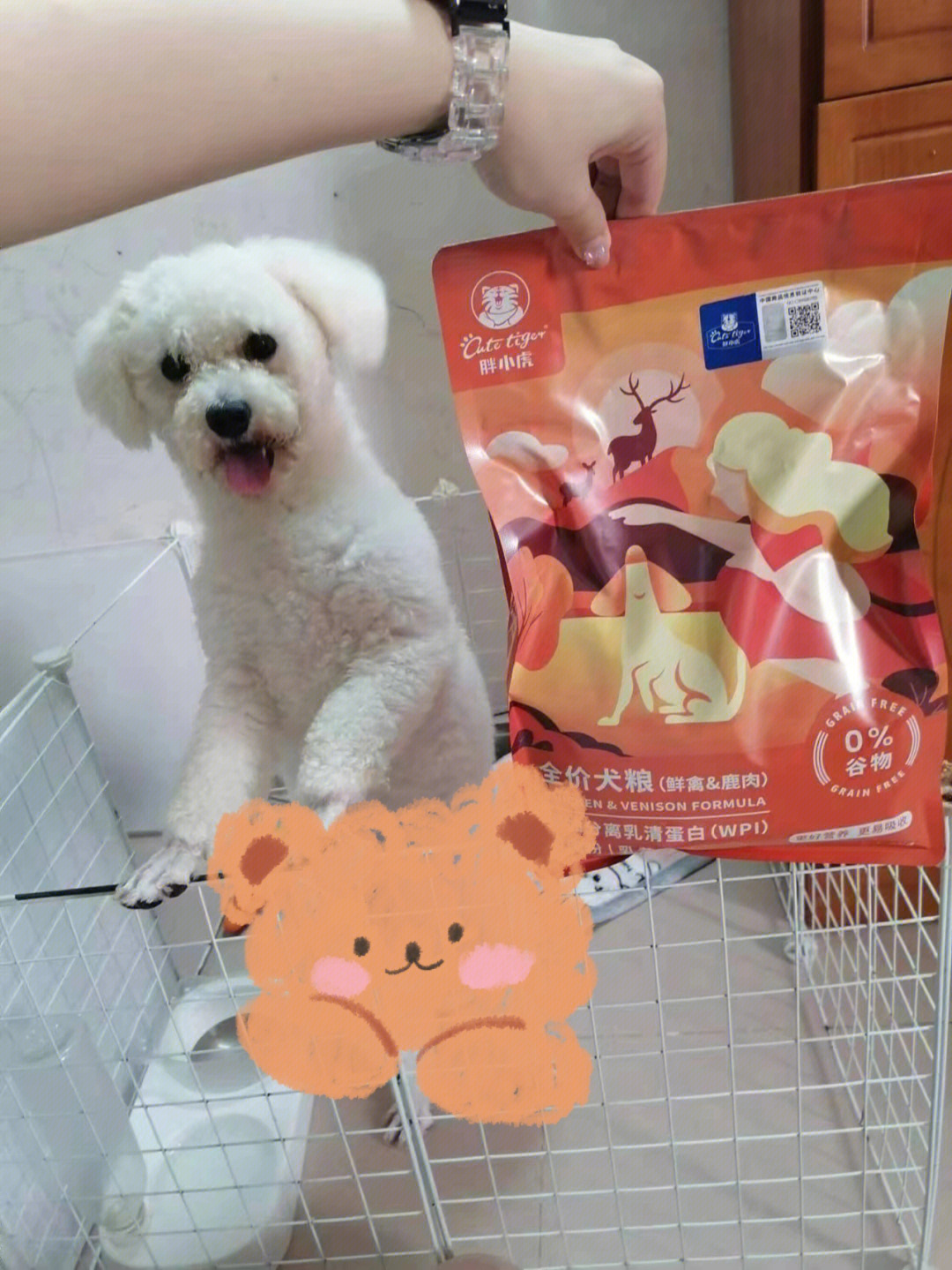 狗狗搜索书籍下载_狗狗书籍网app_狗狗搜索书籍