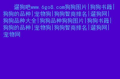 狗狗搜索书籍_狗狗搜索书籍下载_狗狗书籍网app