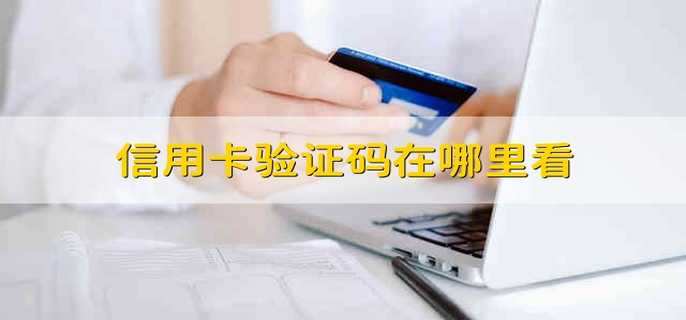 意思apple_applepay什么意思_applepay首秀
