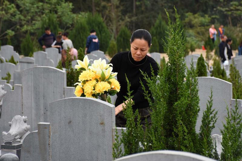 清明节寓意_清明节的寓意和象征简短_清明节寓意