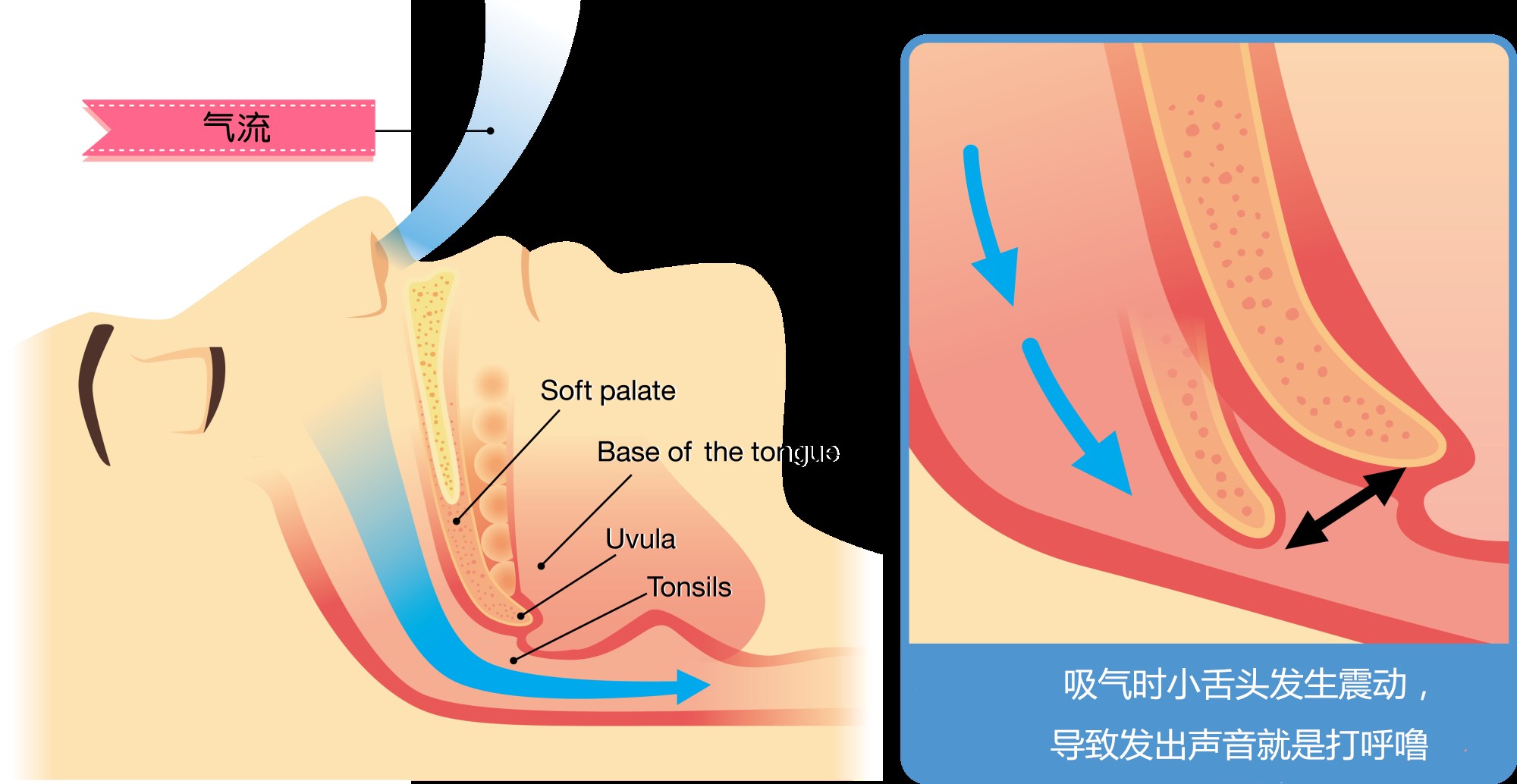 红客的定义_红客是什么意思啊_红客是啥