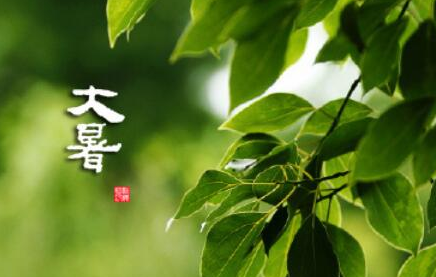 谚语大暑凉飕飕前一句_谚语大暑凉飕飕的前一句是什么_关于大暑的谚语