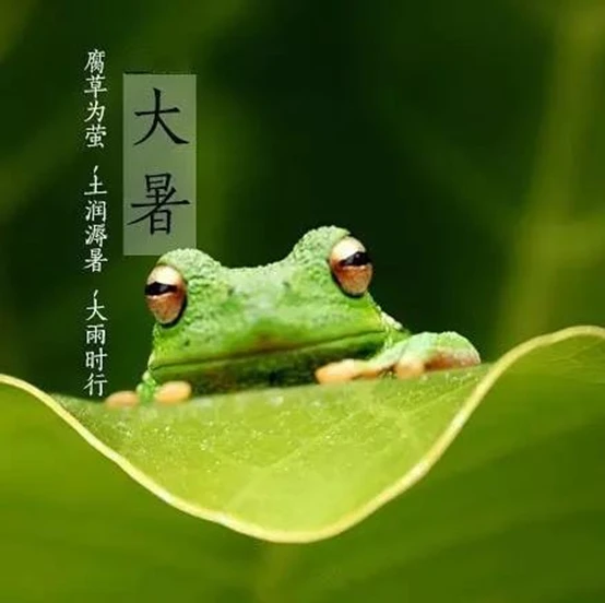 谚语大暑凉飕飕前一句_关于大暑的谚语_谚语大暑凉飕飕的前一句是什么