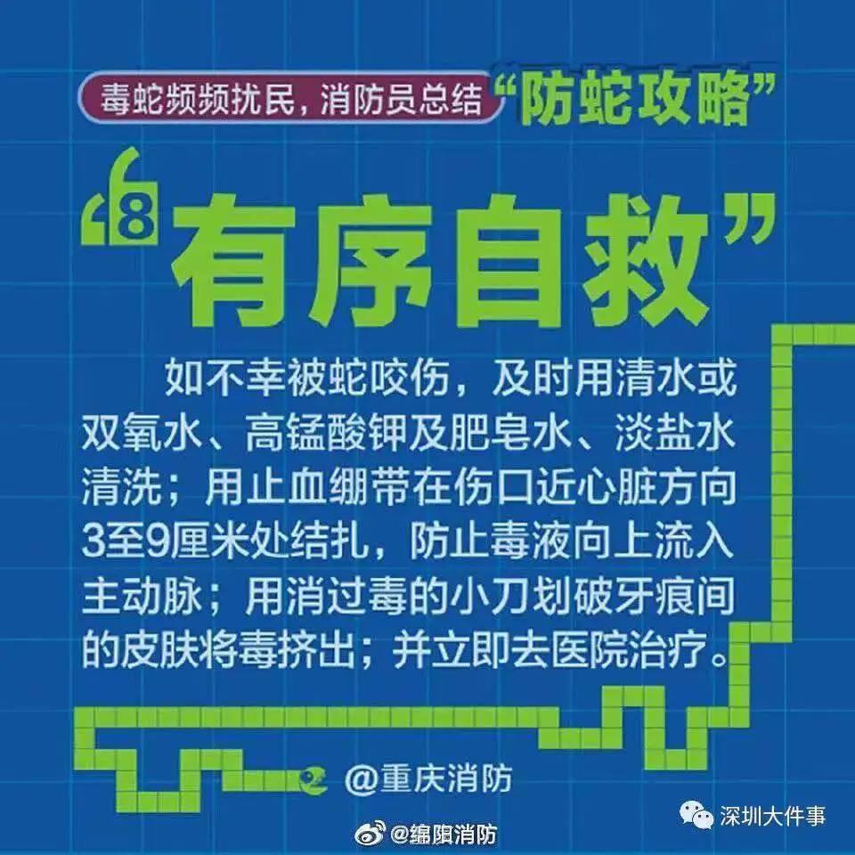 属蛇是哪年出生的_属相是蛇的出生年月_属蛇的是什么年出生