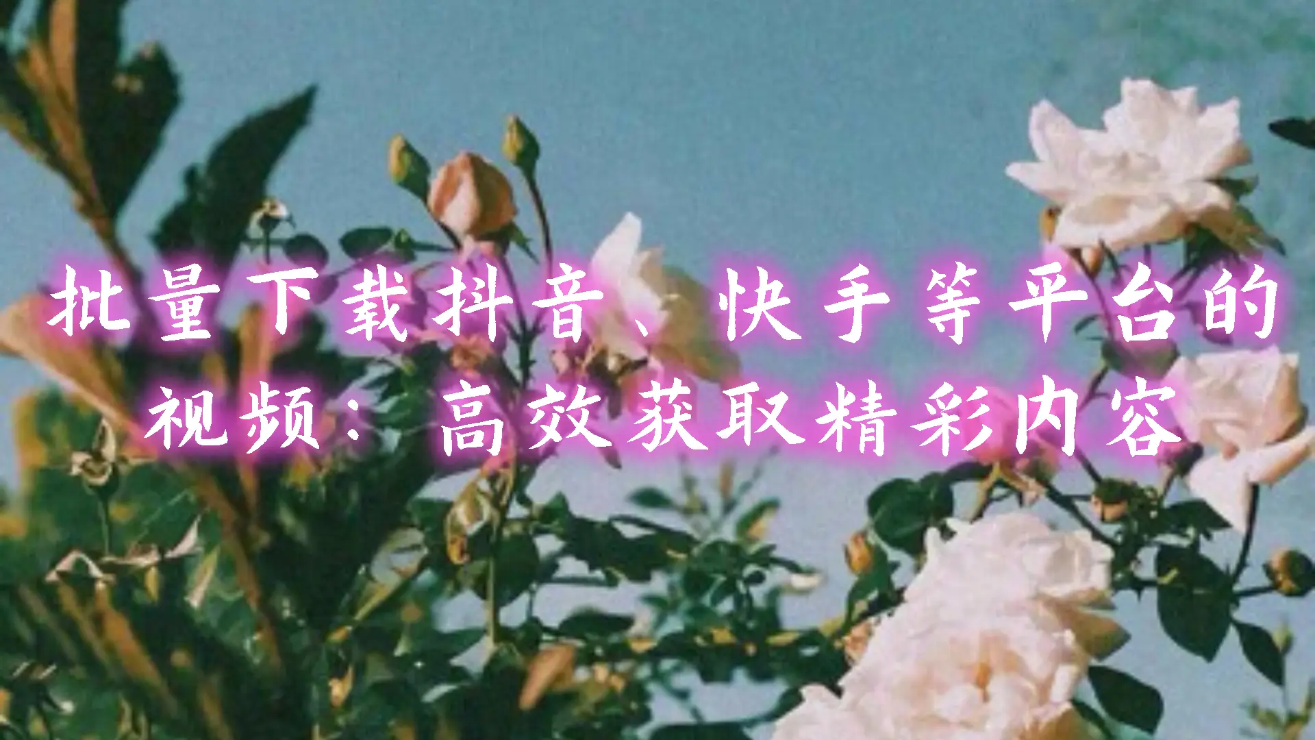 视频网站乱收费怎么投诉_哔哩哔哩视频网站_视频网站英文怎么说