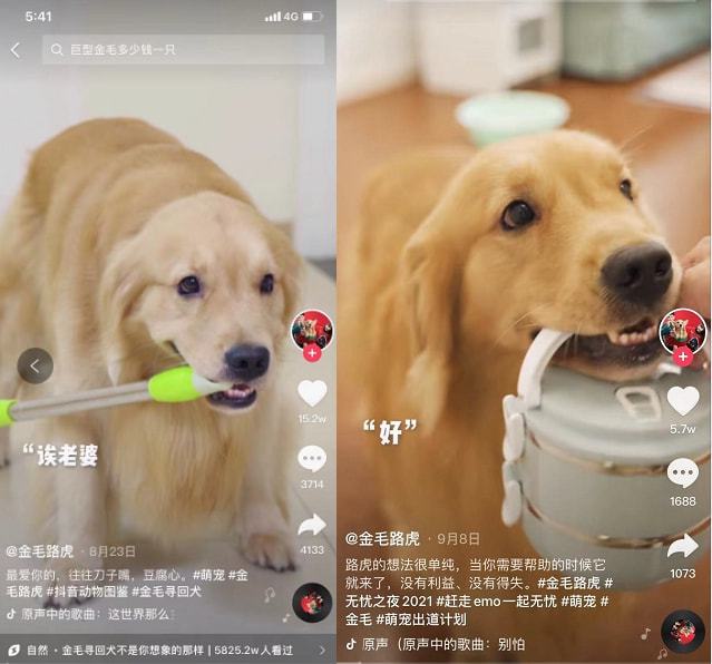 玩手机游戏的视频_小伙和伙伴玩手机游戏视频_视频小伙伙伴玩手机游戏