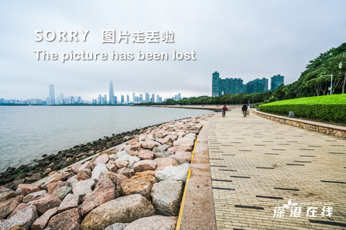 索爱手机滑板游戏下载_索爱手机滑雪游戏_搜滑板游戏