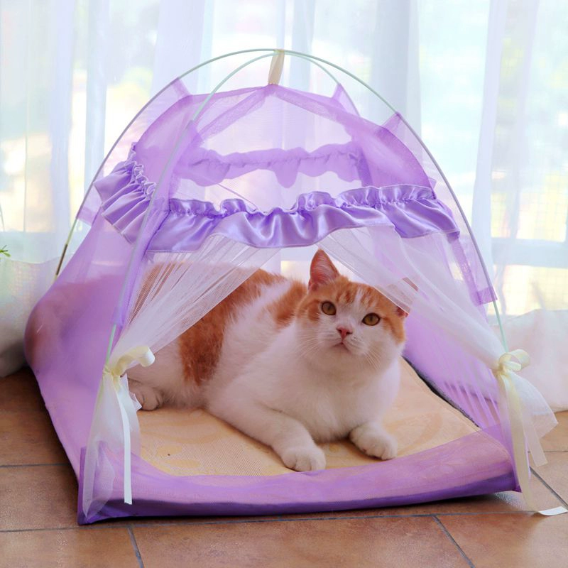 猫物语白可以不看吗_猫物语白_物语系列猫物语白