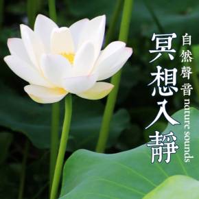 晚上玩手机好不好_晚上手机玩游戏好不好_晚上玩手机有什么好处