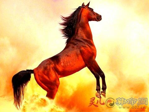属马出生最好的月份_属马生的月份_属马的几月出生最好