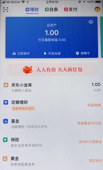 白条京东还款方式_京东商城白条还款_京东白条一次性还款怎么操作