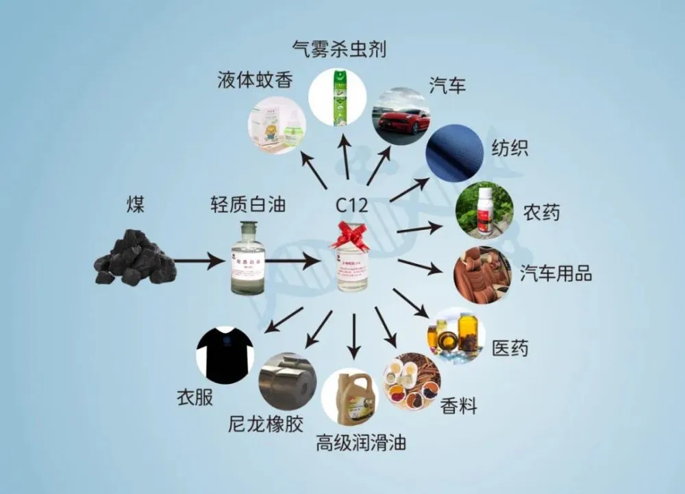 阿萨辛派_阿萨辛_阿萨辛教团